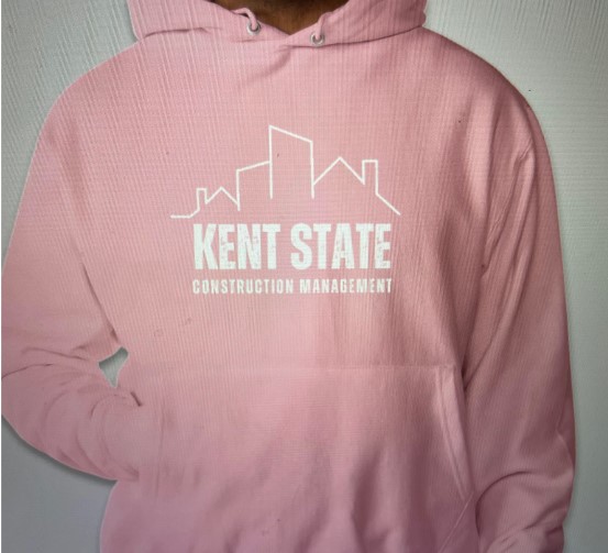 Hoodie - PINK Main Image